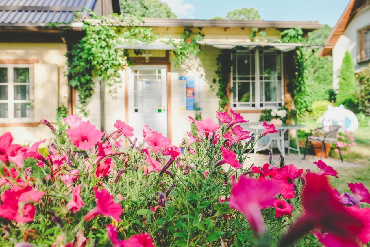 Villa Irbe Jūrkalne Dış mekan fotoğraf